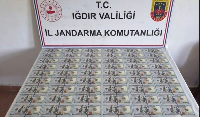 Iğdır’da sahte dolar operasyonu: 100 adet banknot ele geçirildi, şüpheliye ev hapsi