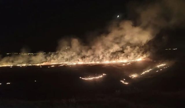 Mardin'de peş peşe yangınlar: Biçerdöverde maddi hasar oldu