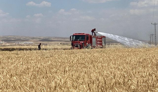 Mardin’de yaklaşık 300 dönüm ekili alan yandı