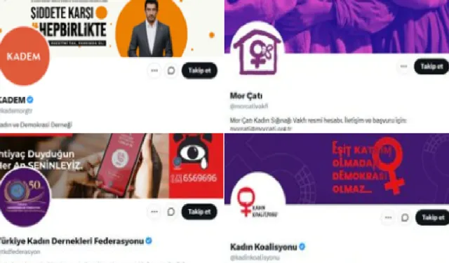 Maskeleri düştü: Dişi kuş için bile meydana çıkan "sözde kadın dernekleri" Rahmi Koç'a karşı lal oldu