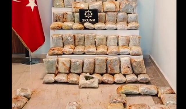 Muş'ta 60 kilogram skunk ele geçirildi
