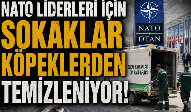 Madem utanıyorsunuz vatandaşa niye reva görüyorsunuz?