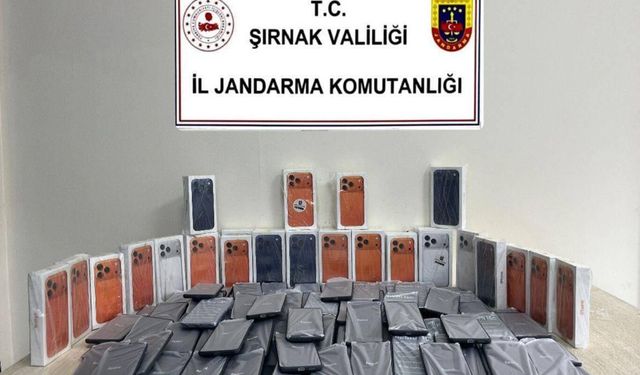 Şırnak'ta 13,7 milyon lira değerinde kaçak ürün ele geçirildi