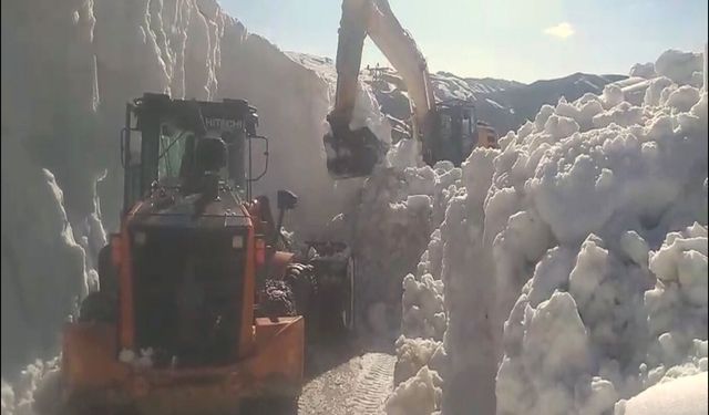 Şırnak'ta haziran ayında kar mesaisi: Yayla yolları temizleniyor