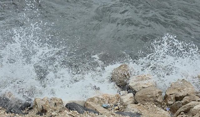 Van Gölü'nde şiddetli rüzgarda dalgalar sahili dövdü