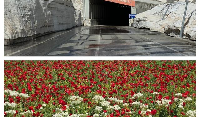 Van'da şaşırtan manzara: Ovada yaz; Karabet'te kış yaşanıyor