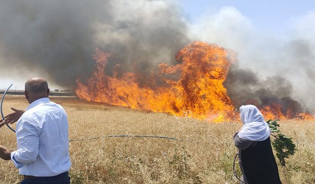 Diyarbakır'da buğday tarlası alevlere teslim oldu