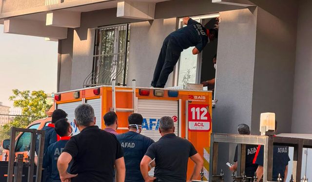 Kötü kokuların yayılmasıyla acı gerçek ortaya çıktı