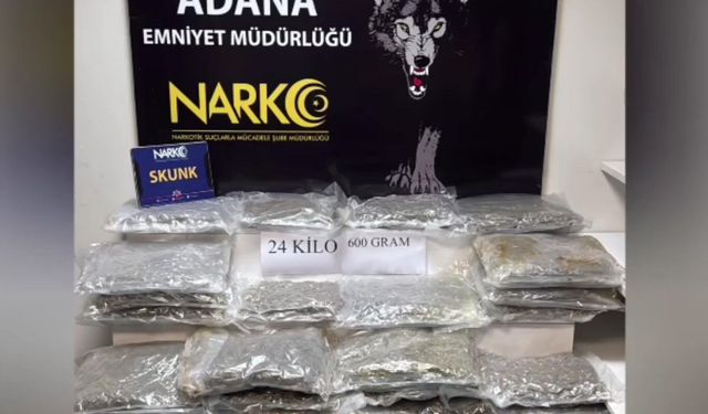 Adana'da 24,6 kilo skunk ele geçirildi