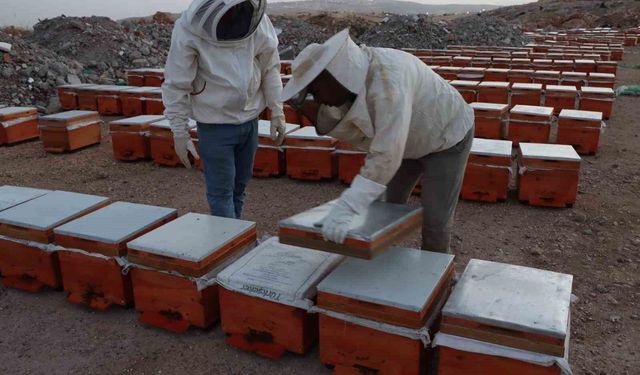Adıyaman'da 2026 yılı bal fiyatları açıklandı