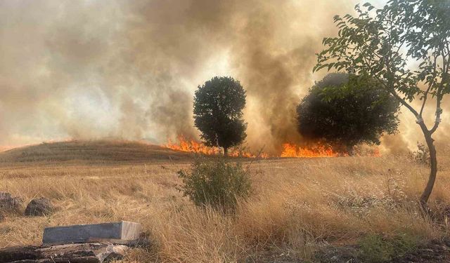 Adıyaman'da trafo yangını ağaçlık alanı yok etti
