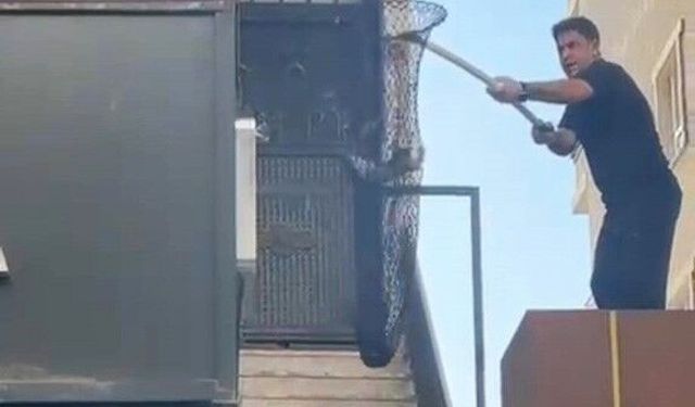 Batman'da metruk binada kilitli kalan 5 yavru kedi kurtarıldı