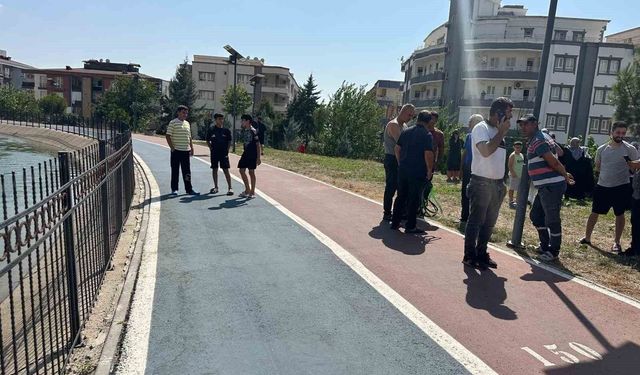 Batman'da selfie çekerken sulama kanalına düştü