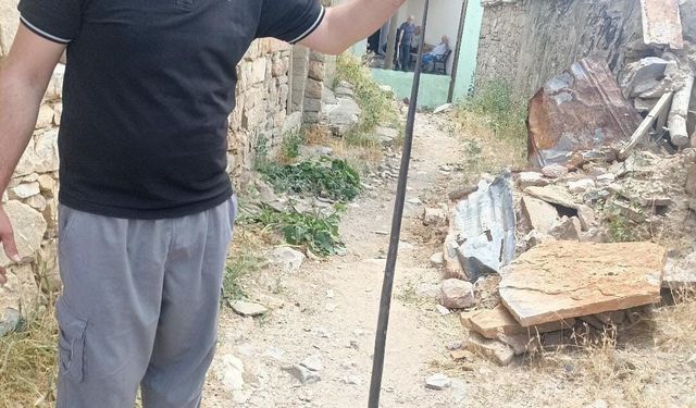 Baykan'da yılan paniği