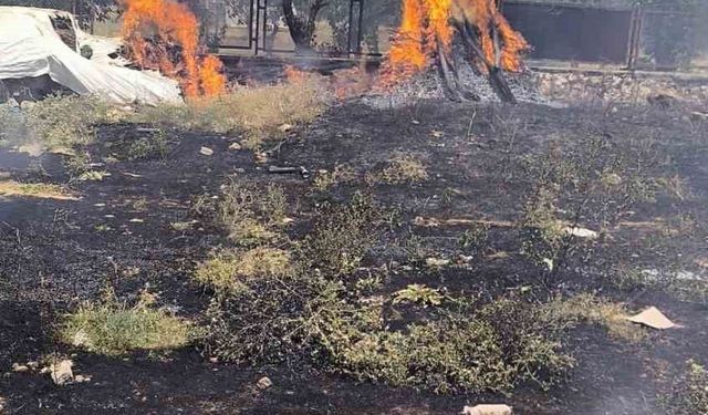 Evin bahçesinde çıkan yangına itfaiye ekipleri müdahale etti