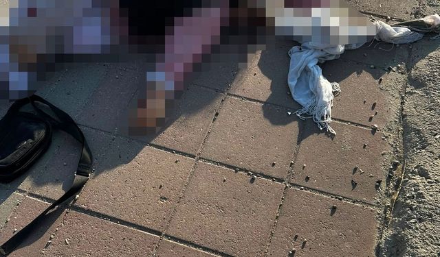 Mardin'de tırın çarptığı yaşlı kadın hayatını kaybetti