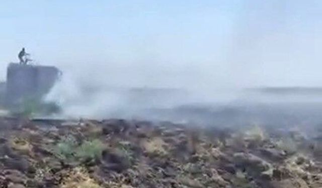 Mardin'deki anız yangını kontrol altına alındı