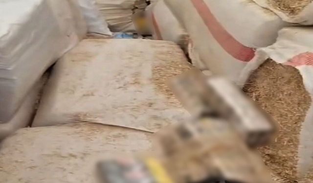 Şanlıurfa'da milyonluk operasyon