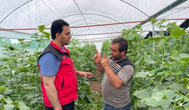 Sulu tarım mevsimlik tarım işçiliğini bitirdi