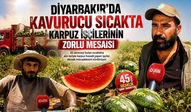 Söz Sizde - Amed Haber | Diyarbakır Haber | Diyarbakır Haberleri | Gün