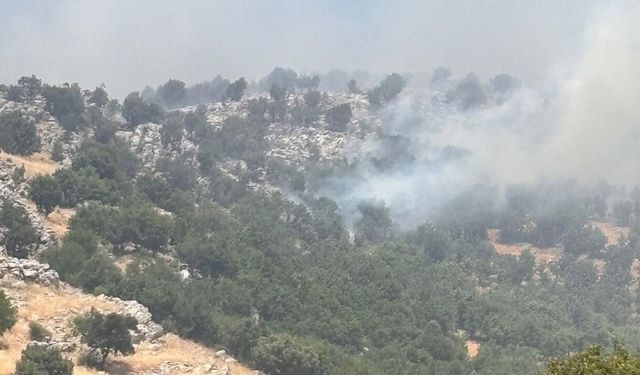 Diyarbakır'da yayla bölgesinde örtü yangını