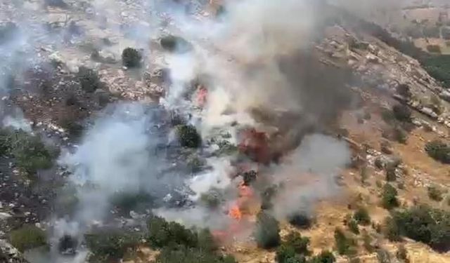 Diyarbakır'da 4 ilçede örtü ve orman yangınları