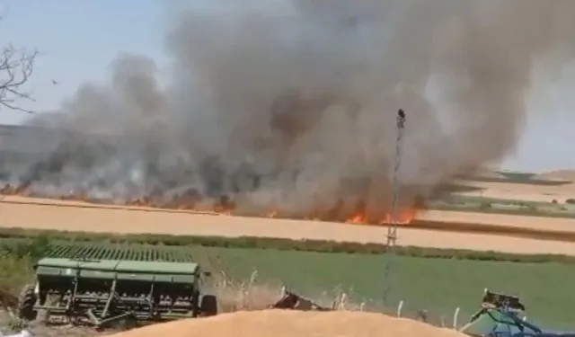 Diyarbakır'da buğday tarlasında yangın: 70 dönüm kül oldu