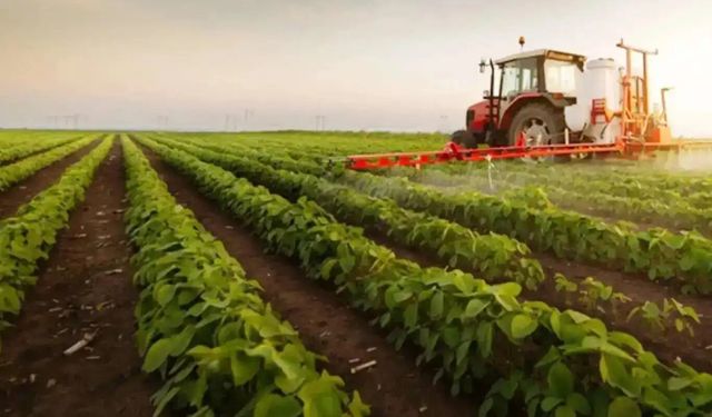Diyarbakırlı çiftçilerin dikkatine! Hesaplara aktarıldı