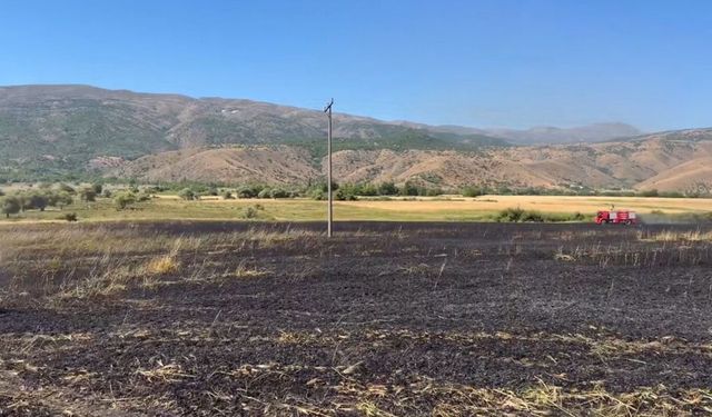 Elazığ'da arazi yangını ekiplerin müdahalesiyle söndürüldü
