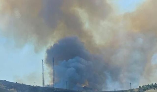 Elazığ'da çıkan arazi yangını söndürüldü