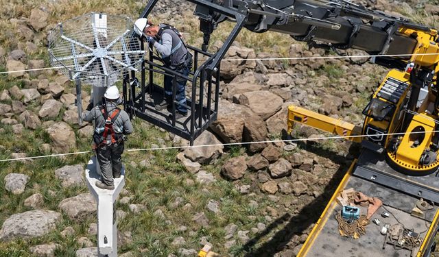 Elektrik direkleri göçmen kuşlar için yuvaya dönüşüyor