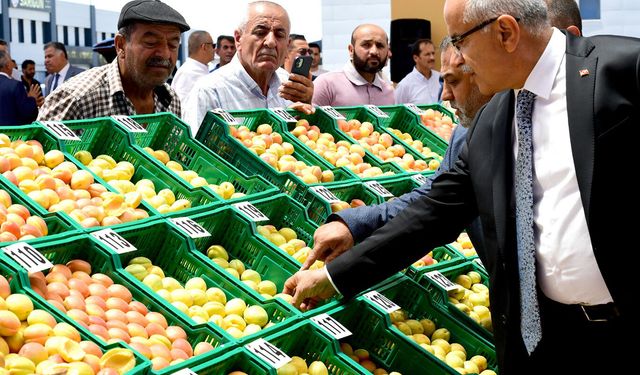 "En İyi Kayısı" yarışmasında ödüller sahiplerini buldu