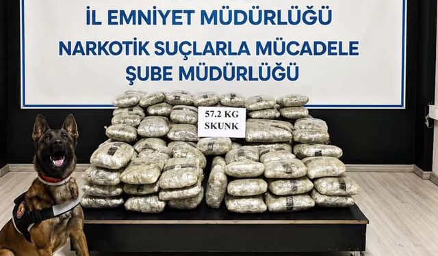 Hakkari'de 57,2 kilogram skunk ele geçirildi