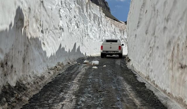 Hakkari'de temmuzda 8 metrelik kar tünelleri