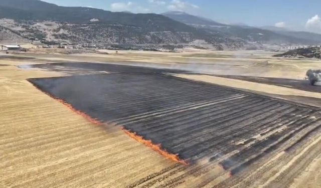 Hasat edilen tarlada çıkan alevler kısa sürede yayıldı