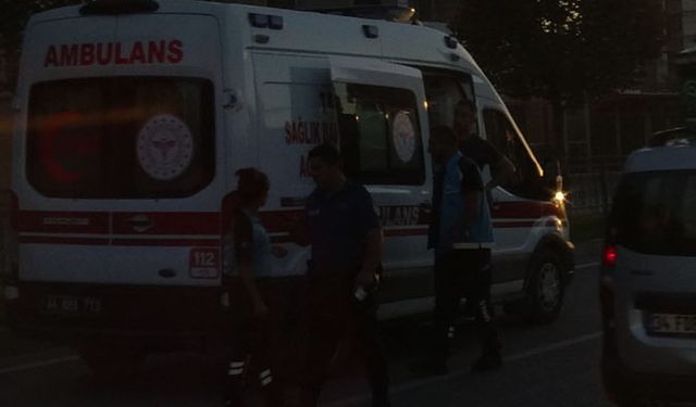 Malatya'da hafif ticari araç aydınlatma direğine çarptı: 2 yaralı