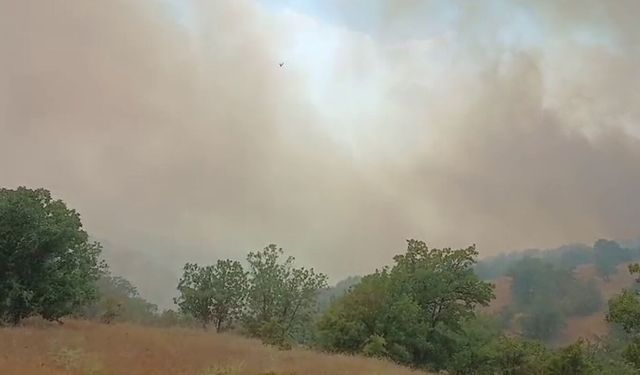 Malatya'da ormanlık alanda çıkan yangına müdahale ediyor