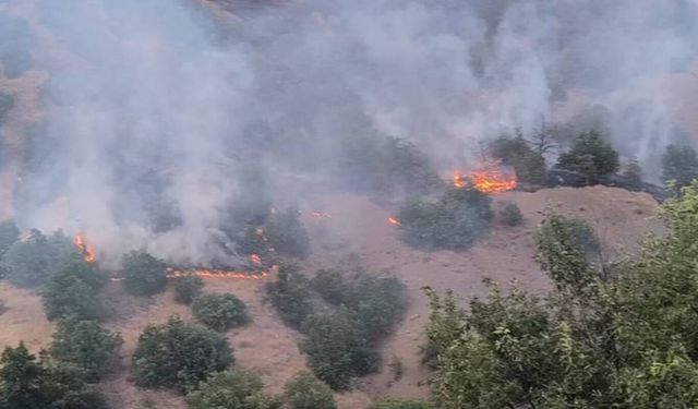 Malatya'da tüm uyarılara rağmen 62 yangın çıktı