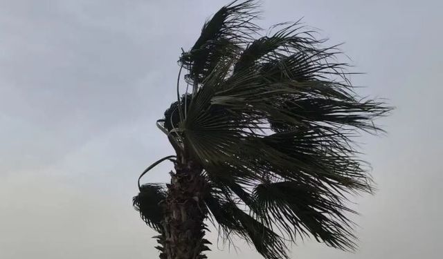 Mardin'de bu pazar hava durumu nasıl olacak? MGM açıkladı