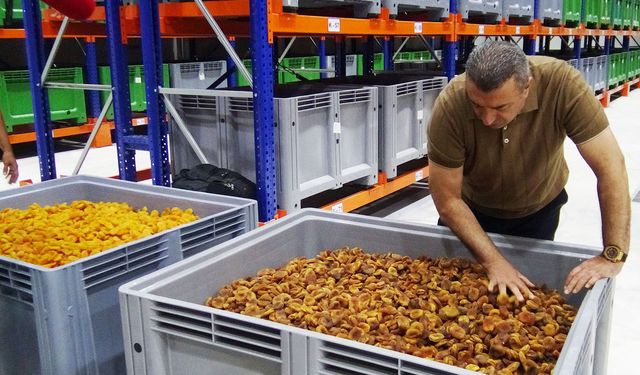 MTB Başkanı Özcan: Kayısı ihracatındaki en büyük tehdit ilaç kalıntıları