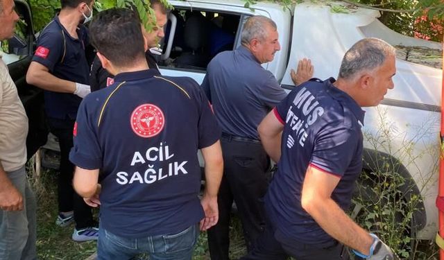 Muş'ta kamyonet şarampole devrildi: 2 yaralı