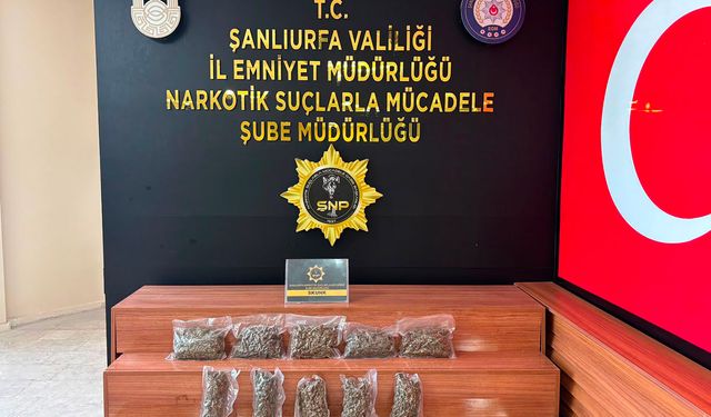 Şanlıurfa'da 2 kilo 600 gram skunk ele geçirildi
