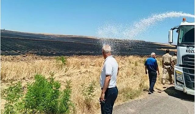 Siirt'te buğday tarlalarında yangın: Yüzlerce dönüm alan kül oldu
