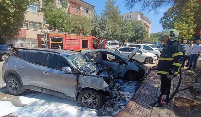 Siirt'te park halindeki iki otomobil alevlere teslim oldu