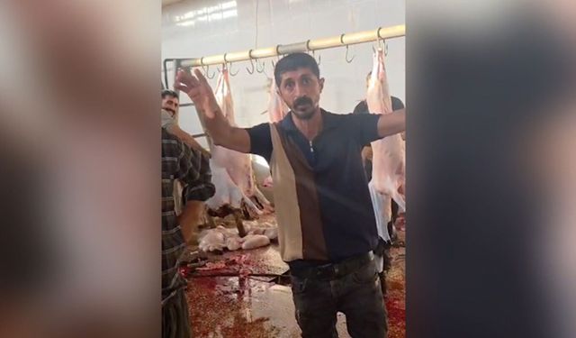 Silopi’deki kesimhanede su, elektrik ve temizlik krizi