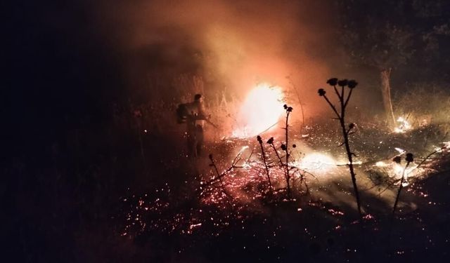 Şırnak'ta 120 dönümlük buğday tarlası yangında kül oldu