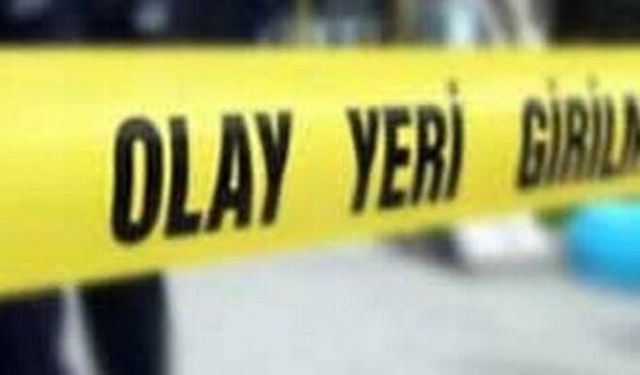 Tatvan'da yük treninin çarptığı yaşlı kadın hayatını kaybetti