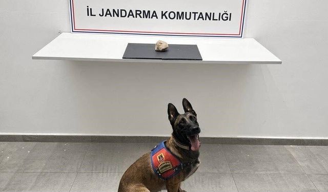 Şanlıurfa'da narkotik operasyonu: Bir tutuklama