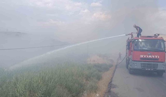 Siirt Üniversitesi yakınlarında örtü yangını