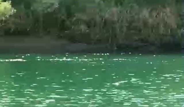 Şırnak'ta kadınların bindiği bot devrildi: 1'i hayatını kaybetti